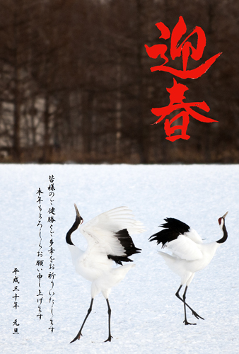新年あけましておめでとうございます。